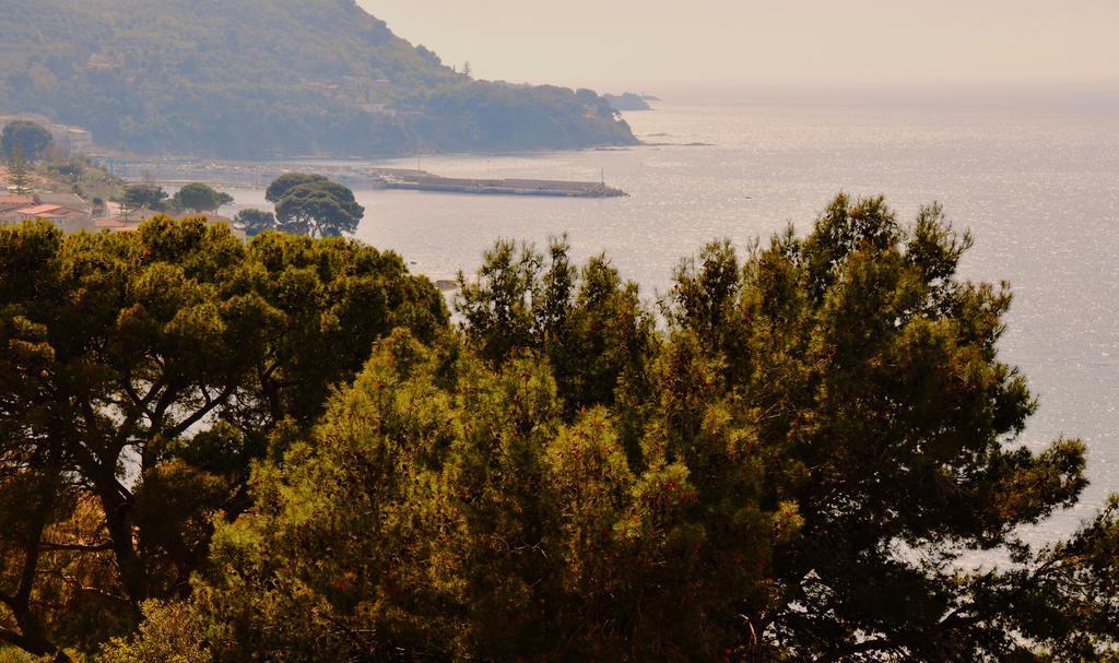 Villa Laura Sea View Apartments Santa Maria di Castellabate Exterior photo